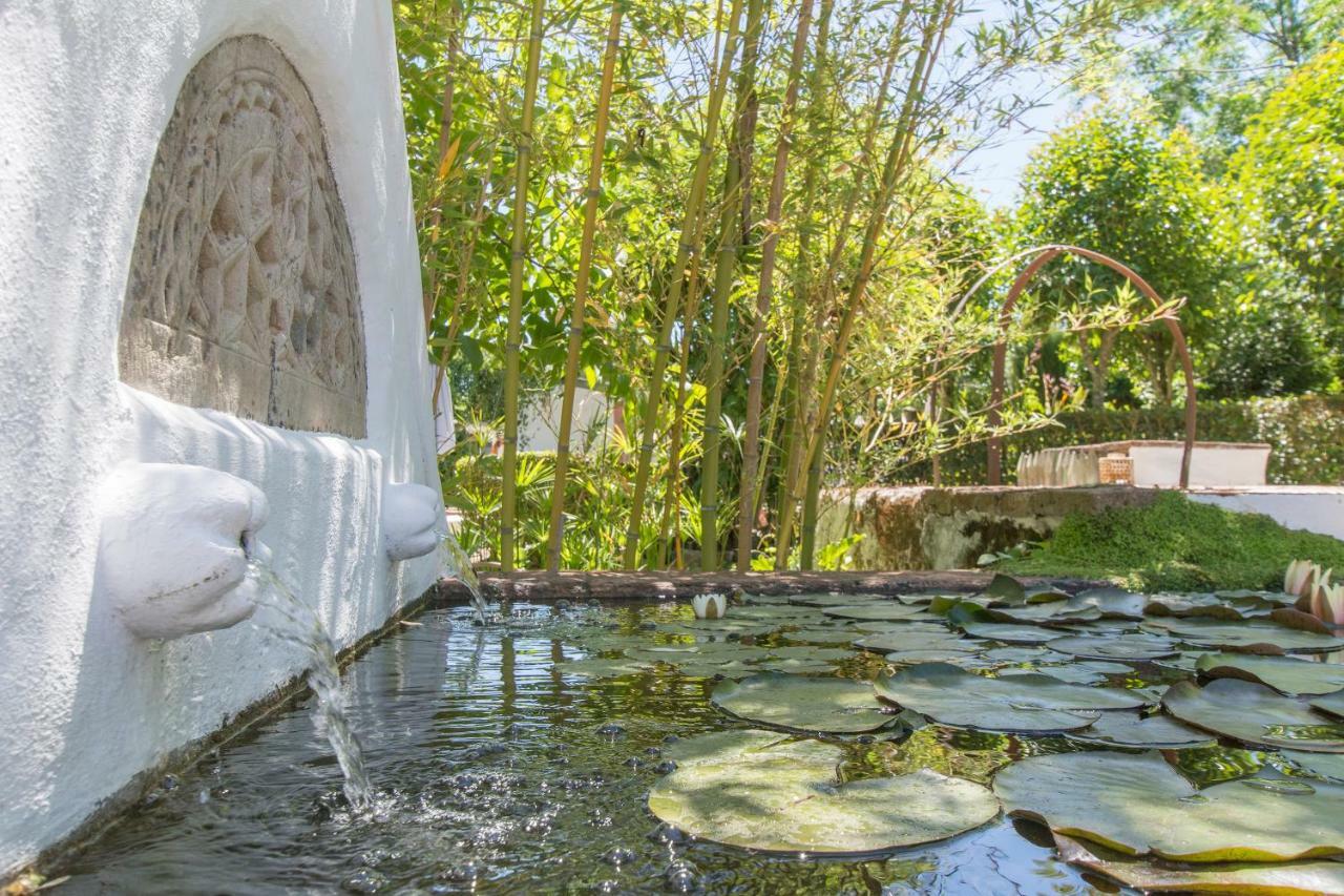 Monte Da Fornalha Bed and Breakfast Borba Εξωτερικό φωτογραφία