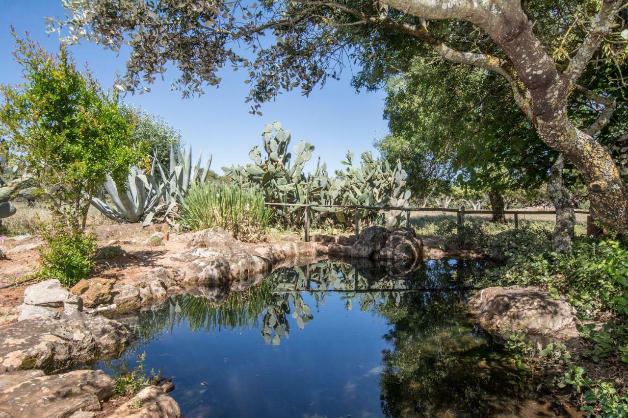 Monte Da Fornalha Bed and Breakfast Borba Εξωτερικό φωτογραφία